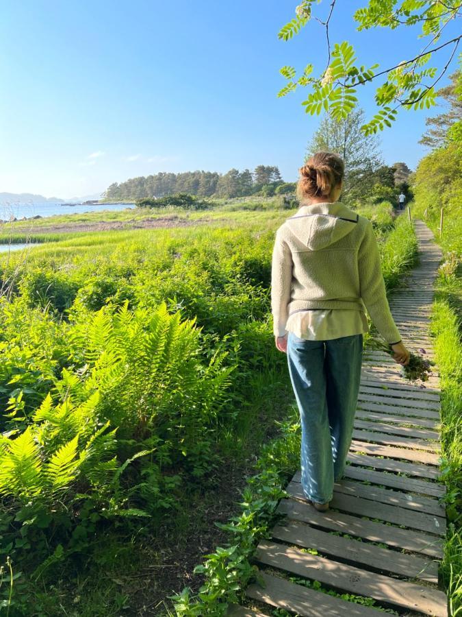 Ny Leilighet I Nevlunghavn Larvik Ngoại thất bức ảnh